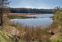 Kammerweiher